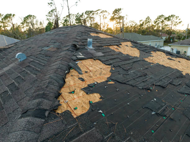 Best Asphalt Shingle Roofing  in Mcnair, VA