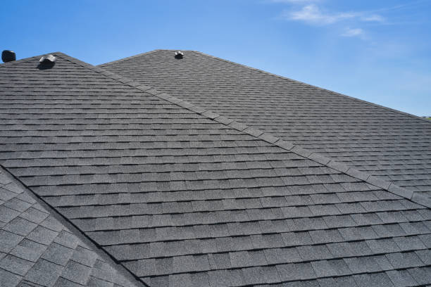 Best Roof Leak Repair  in Mcnair, VA